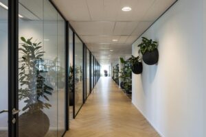 Licht en modern kantoorinterieur aan de Thomas R. Malthusstraat met glazen wanden, houten visgraatvloer en veel groene planten.